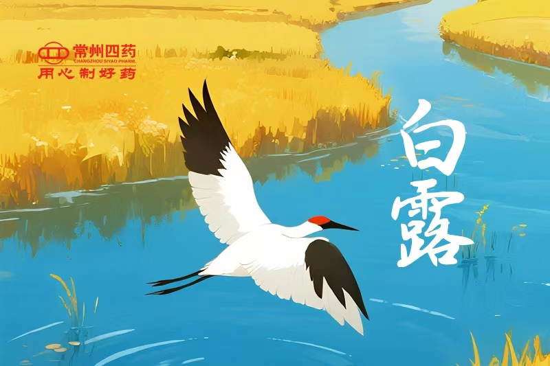 今日白露 | 一夜涼一夜，鴻雁南歸時